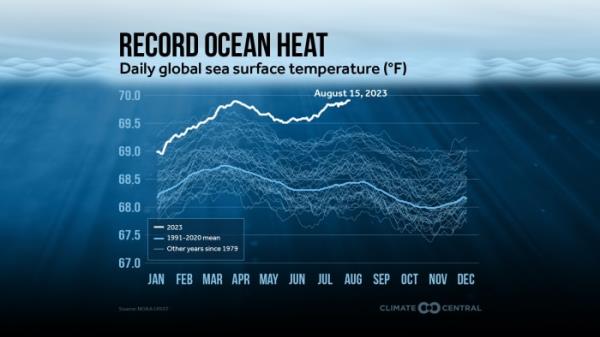 预测变化:记录海洋热量及其影响