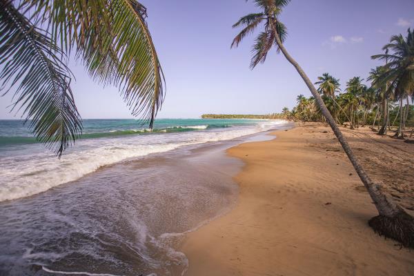 多米尼加共和国最好的海滩