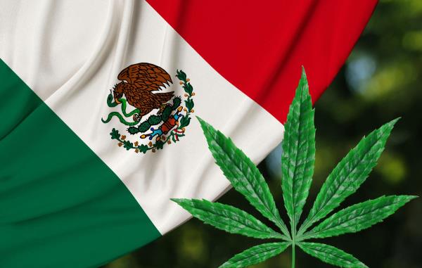 娱乐性大麻在墨西哥合法吗?关于墨西哥的大麻法律，旅行者需要知道什么