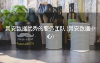 景安数据优秀的服务团队 (景安数据中心)