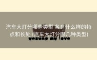 汽车大灯分哪些类型 各有什么样的特点和长处 (汽车大灯分哪几种类型)