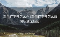 车门打不开怎么办 (车门打不开怎么解决钥匙无反应)