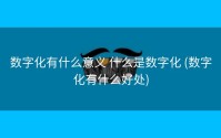 数字化有什么意义 什么是数字化 (数字化有什么好处)