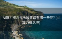AI算力概念龙头股票都有哪一些呢? (ai算力概念股)