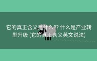 它的真正含义是什么?? 什么是产业转型升级 (它的真正含义英文说法)
