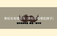 黄标车有哪些车 (黄标车有哪些牌子)