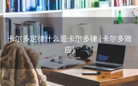 卡尔多定律什么是卡尔多律 (卡尔多效应)