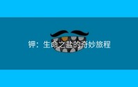 钾：生命之盐的奇妙旅程