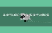 规模经济理论是什么 (规模经济理论是谁提出的)