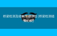 桥梁检测及结构性能评估 (桥梁检测结果分类)