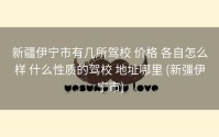 新疆伊宁市有几所驾校 价格 各自怎么样 什么性质的驾校 地址哪里 (新彊伊宁市)