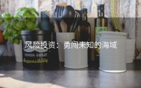 风险投资：勇闯未知的海域
