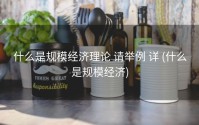 什么是规模经济理论 请举例 详 (什么是规模经济)