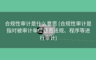 合规性审计是什么意思 (合规性审计是指对被审计单位是否法规、程序等进行审计)