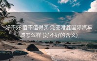 好不好 值不值得买 泛亚港鑫国际汽车城怎么样 (好不好的含义)