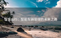 智慧出行：智能车辆管理的未来之路