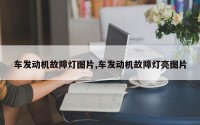 车发动机故障灯图片,车发动机故障灯亮图片