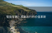 智能车辆：未来出行的价值革新