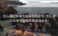 怎么通过车架号查询车辆型号 (怎么通过车架号查询车辆具体信息)