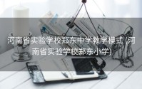 河南省实验学校郑东中学教学模式 (河南省实验学校郑东小学)