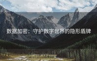 数据加密：守护数字世界的隐形盾牌