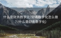 什么是财务数字化?财务数字化怎么做? (什么是财务数字化)
