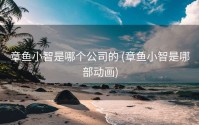 章鱼小智是哪个公司的 (章鱼小智是哪部动画)