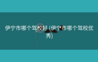 伊宁市哪个驾校好 (伊宁市哪个驾校优秀)