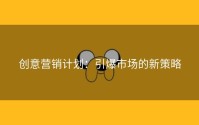 创意营销计划：引爆市场的新策略