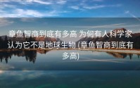 章鱼智商到底有多高 为何有人科学家认为它不是地球生物 (章鱼智商到底有多高)