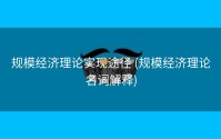 规模经济理论实现途径 (规模经济理论名词解释)