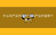 什么叫产业升级 (什么叫产业升级举个例子)