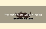 什么是数字化 (什么是数字化转型)