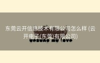 东莞云开信息技术有限公司怎么样 (云开电子(东莞)有限公司)