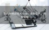 车内异味去除大作战：清新空气，畅享驾驶