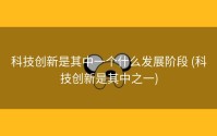 科技创新是其中一个什么发展阶段 (科技创新是其中之一)