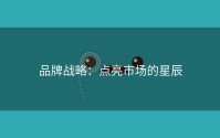 品牌战略：点亮市场的星辰
