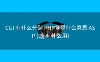 CGI 有什么分别 PHP各是什么意思 ASP (cgi有什么用)