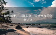 跨界携手，共赢未来：营销合作的创新之道