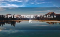 与野生动物保持距离：守护自然与自我