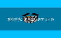 智能车辆：未来出行的学习大师