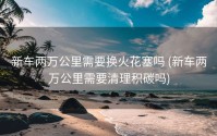 新车两万公里需要换火花塞吗 (新车两万公里需要清理积碳吗)