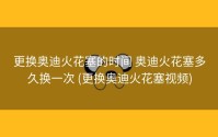 更换奥迪火花塞的时间 奥迪火花塞多久换一次 (更换奥迪火花塞视频)