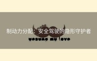 制动力分配：安全驾驶的隐形守护者