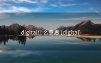digital什么意思 (digital)