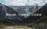 营销创新：打破常规，引领未来