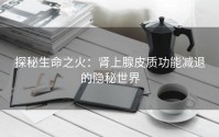 探秘生命之火：肾上腺皮质功能减退的隐秘世界