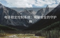 电子稳定控制系统：驾驶安全的守护神