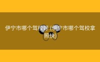 伊宁市哪个驾校好 (伊宁市哪个驾校拿照快)