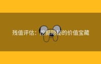 残值评估：挖掘隐秘的价值宝藏